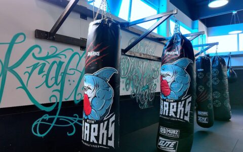 TeamSharksSindelfingenKickboxenGym-4