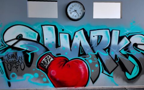 TeamSharksSindelfingenKickboxenGym-5