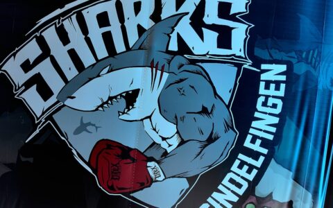 TeamSharksSindelfingenKickboxenGym-6