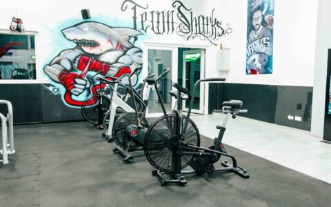 team-sharks-sindelfingen-halle-training-8